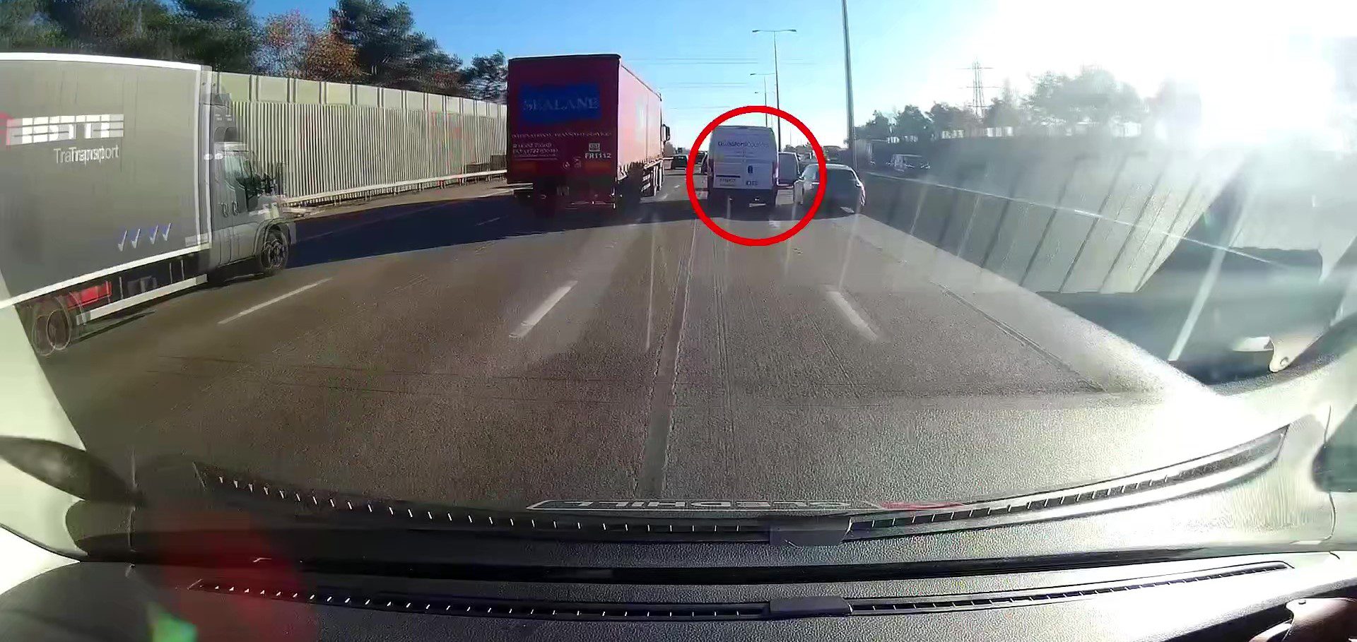Reckless Van Driver